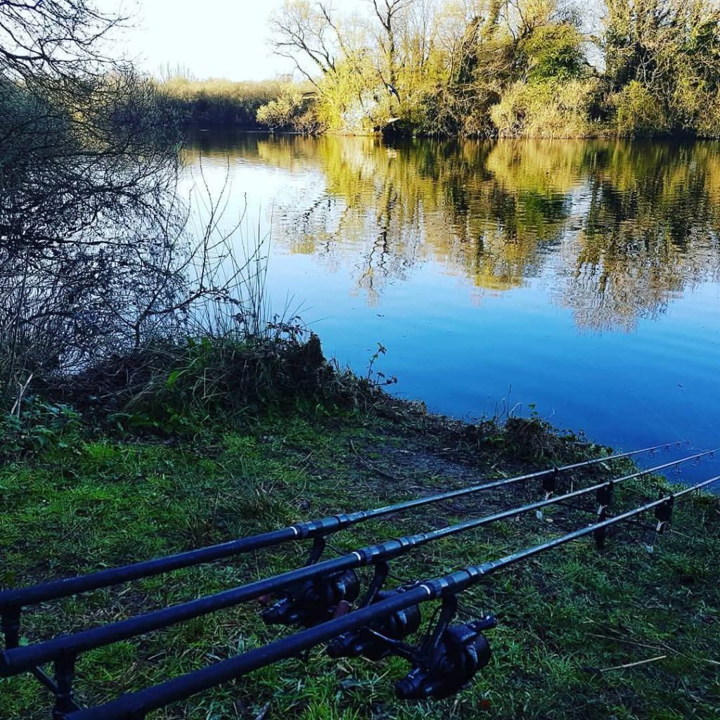 Carp fishing rods set up on the bank at Millbrook Fisheries, Wetley Rocks, Staffordshire