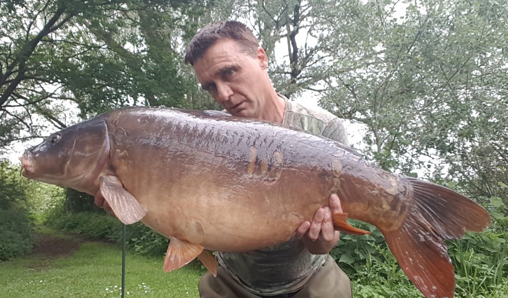 A Gaunts lake large mirror carp