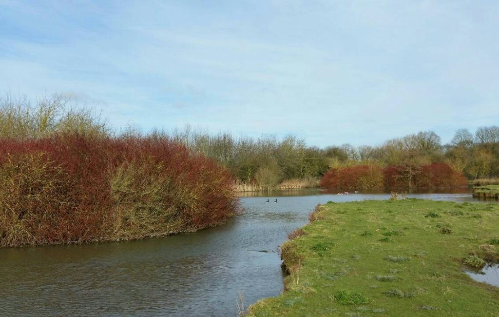 scenic shot of the Islands carp fishery