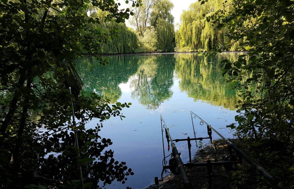 peaceful days fishing on the Woolpack Carp Fishery