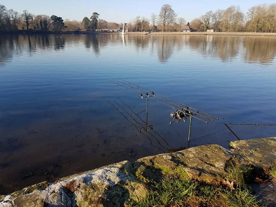 Peaceful carp fishing session at Coate Water Country Park, Wiltshire