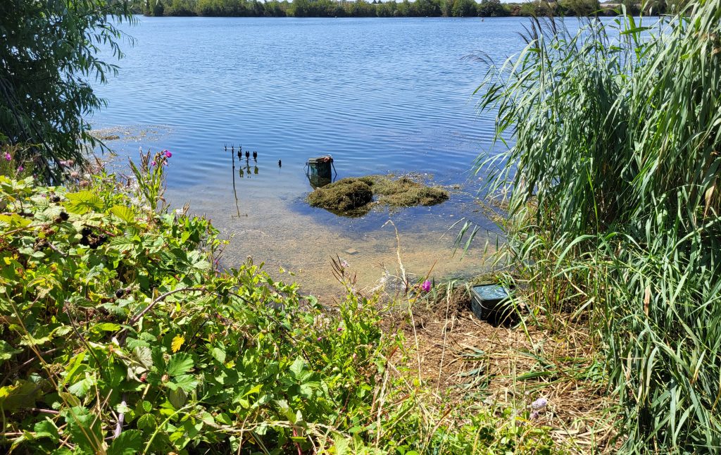 Carp rods set up in the shallow margins at Durleigh Reservoir, Bridgwater, Somerset on a bright summer day