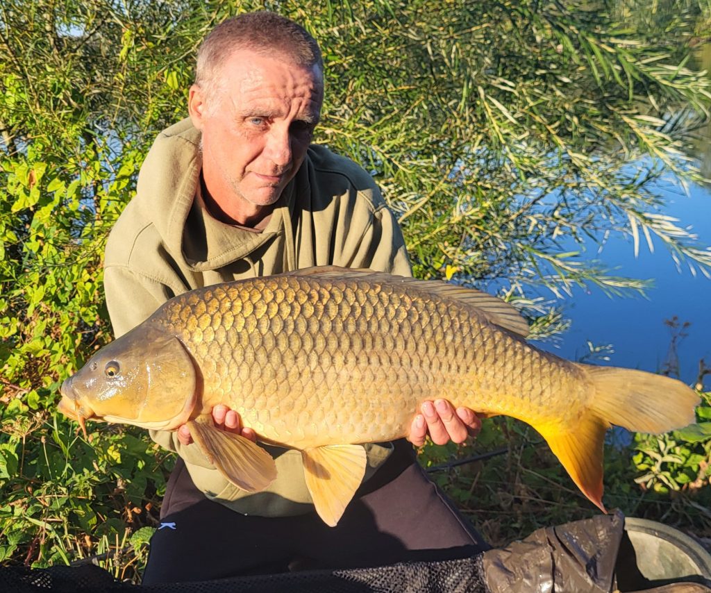 Angler holding a golden common carp caught from Tockenham Reservoir, Lyneham, Wiltshire
