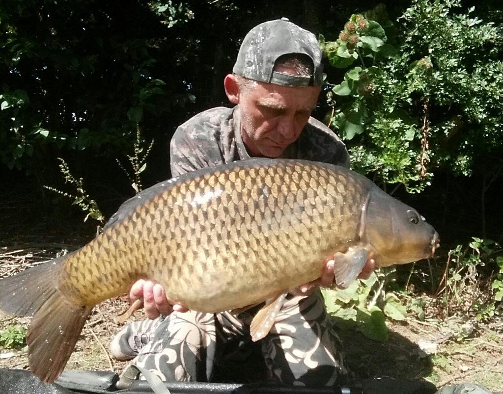 Angler holding a large common carp caught from Bradleys Lake, South Cerney, Gloucestershire
