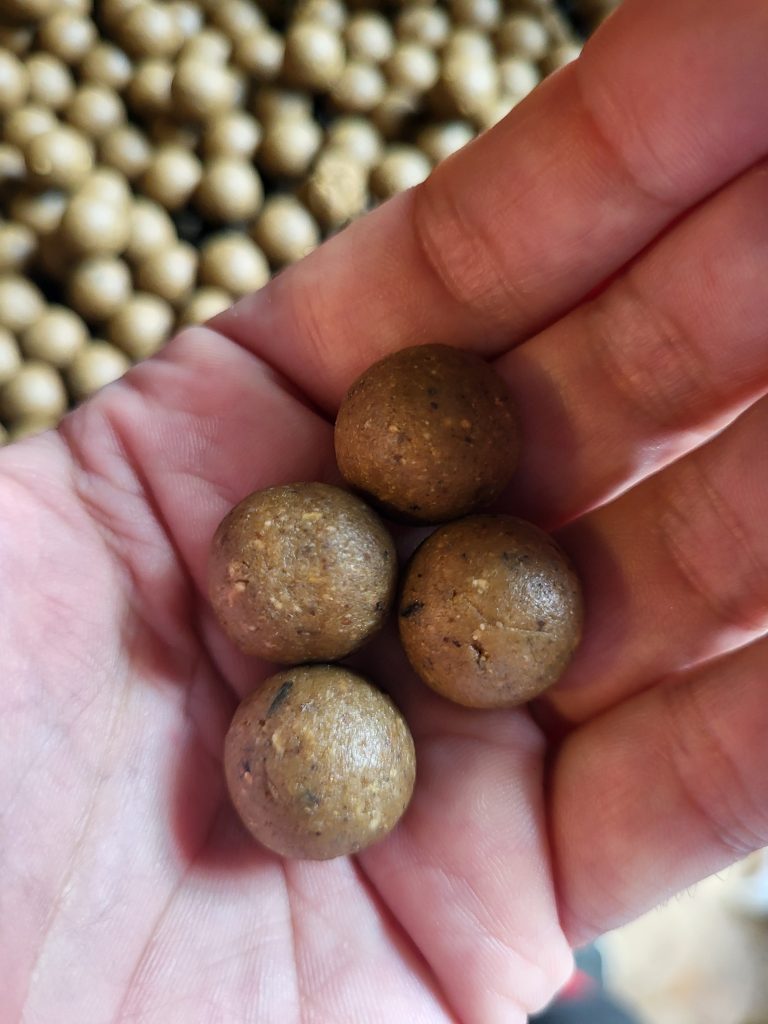Homemade carp boilies made from a homemade base mix