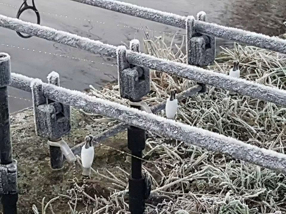 Carp fishing rods set up beside a lake during winter